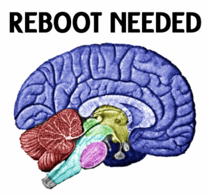 Brain Reboot Needed