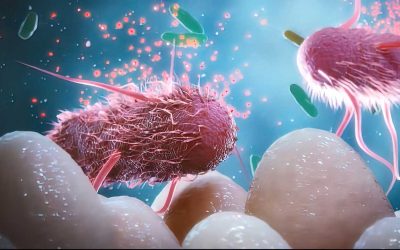 Why does a Microbiome Matter to me?