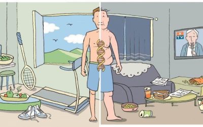 IS YOUR EXCESS WEIGHT REALLY YOUR FAULT?