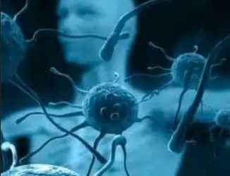 Stem Cell Therapy for Autoimmune Disease(s)