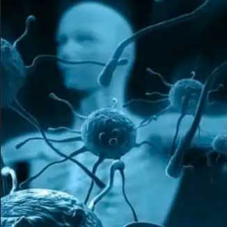 Stem Cell Therapy for Autoimmune Disease(s)